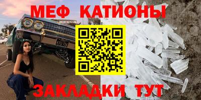 индика Гатчина