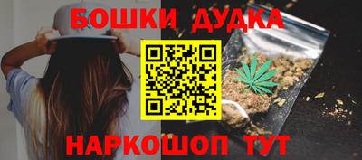 индика Гатчина