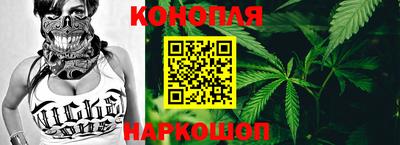 индика Гатчина