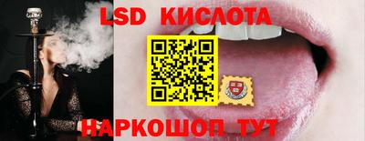 индика Гатчина