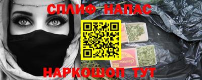 индика Гатчина