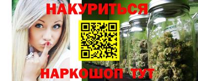 индика Гатчина