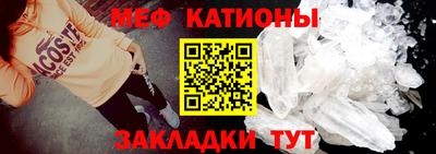 индика Гатчина