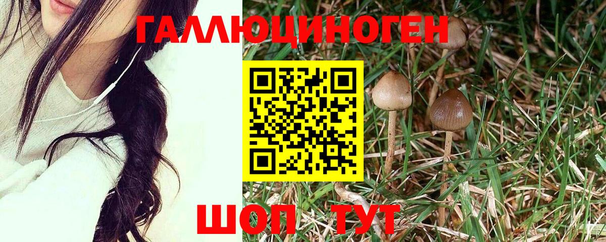 Галлюциногенные грибы мицелий Омск