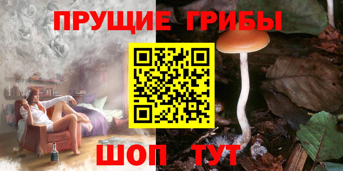 Псилоцибиновые грибы Psilocybine cubensis  Вход с VPN  Омск 